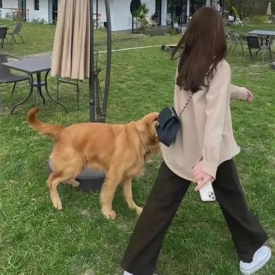 高加索女俘虏